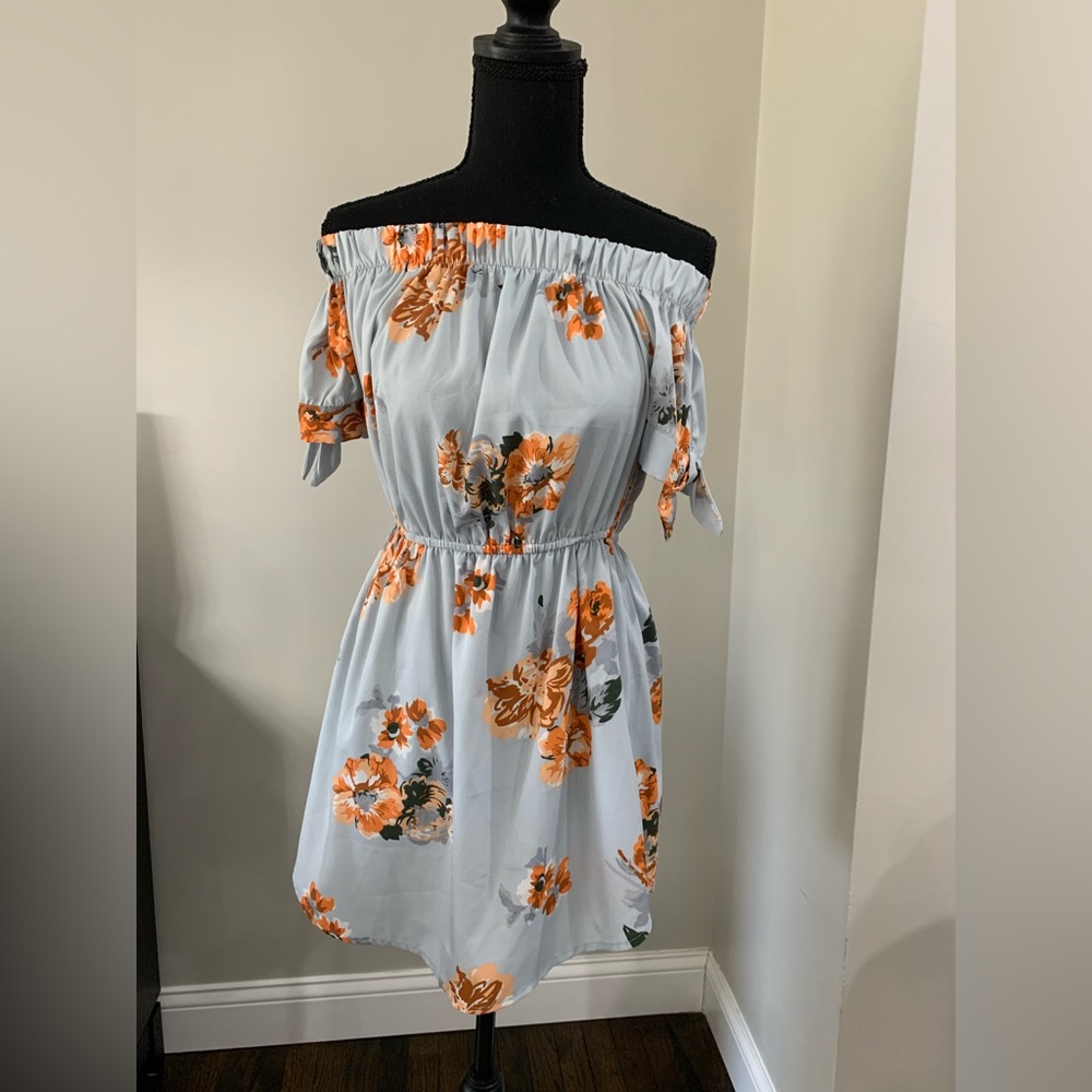 Blush Off The Shoulder Dress